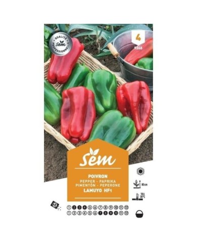 Poivron lamuyo f1 (sachet)