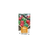 Poivron lamuyo f1 (sachet)