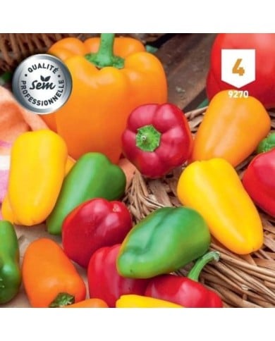 Poivron mini Snack Peppers mix