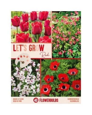 Let's Grow - Rouge - lot de 40 bulbes