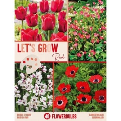 Let's Grow - Rouge - lot de 40 bulbes