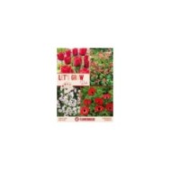 Let's Grow - Rouge - lot de 40 bulbes