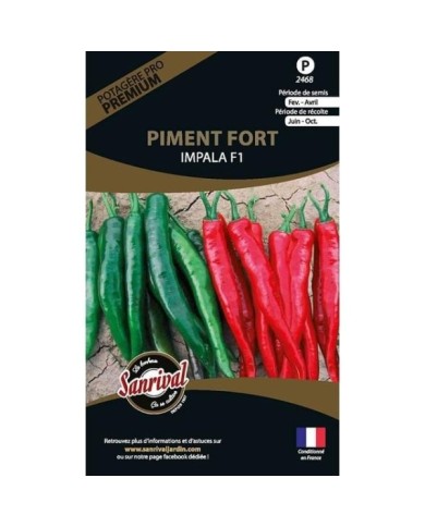 Piment fort Impala HF1 (sachet)