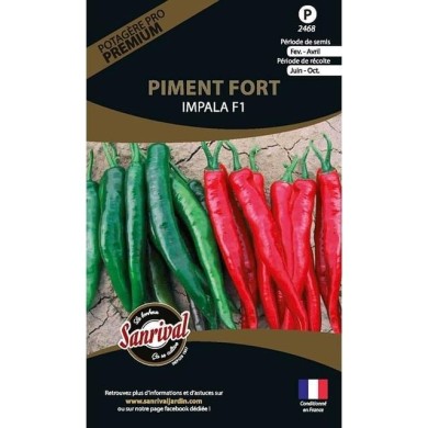Piment fort Impala HF1 (sachet)