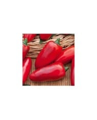 Piment Jalapeno