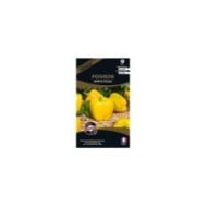 Poivron Marta Polka (sachet)