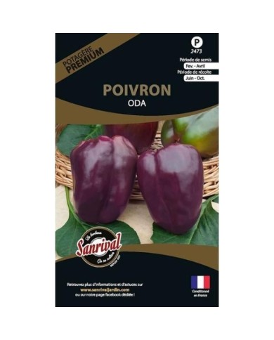 Poivron Oda (sachet)