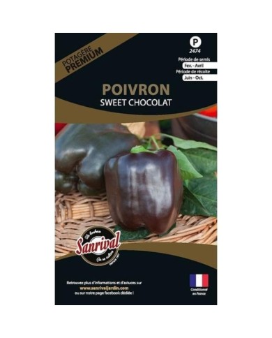 Poivron Sweet chocolat (sachet)