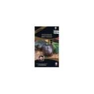 Poivron Sweet chocolat (sachet)