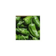 Poivron à tapas Pimiento de Padron