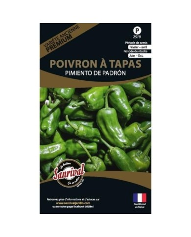 Poivron à tapas Pimiento de Padron (sachet)