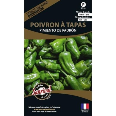 Poivron à tapas Pimiento de Padron (sachet)