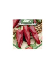 Piment type espelette Gorria