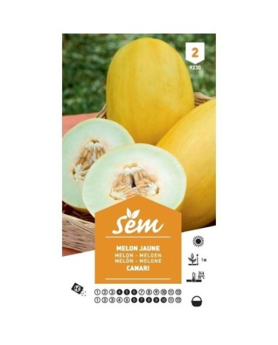 Melon Canari variété ancienne (sachet)