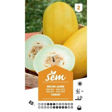 Melon Canari variété ancienne (sachet)