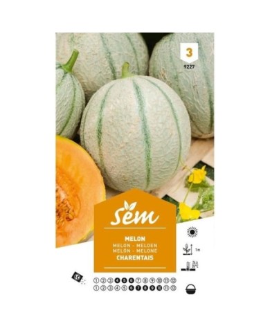 Melon Charentais (sachet)