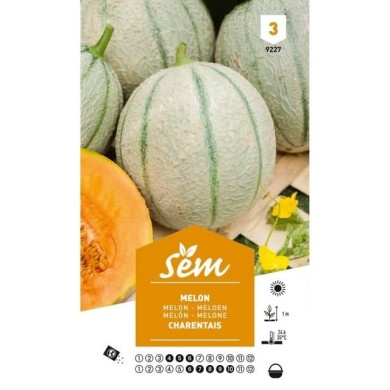Melon Charentais (sachet)