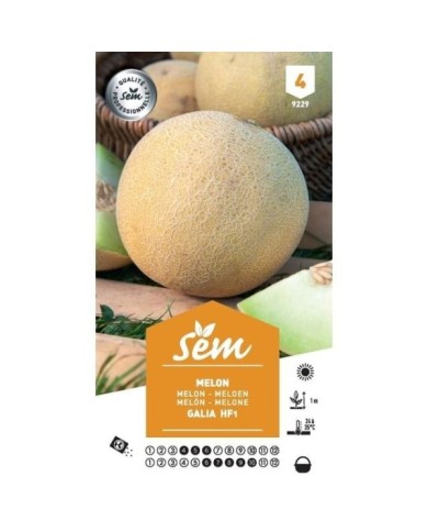 Melon Galia F1 (sachet)