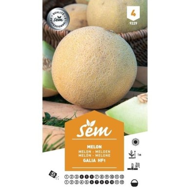 Melon Galia F1 (sachet)