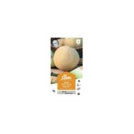 Melon Galia F1 (sachet)