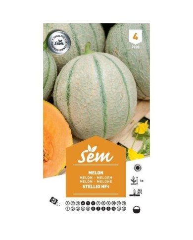 Melon Stellio F1 (sachet)
