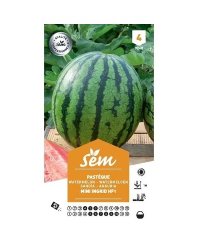 Pastèque Mini Ingrid F1 (sachet)