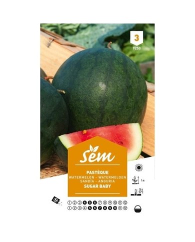 Pastèque Sugar Baby Melon d'eau (sachet)