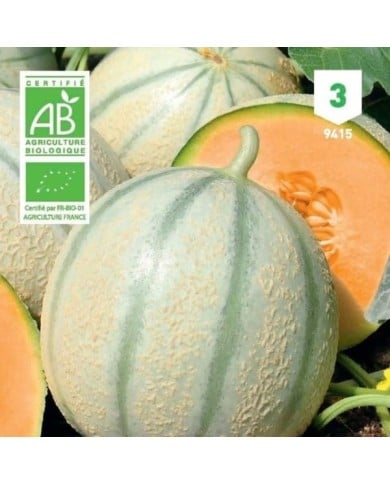 Melon Charentais Bio