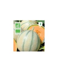 Melon Charentais Bio