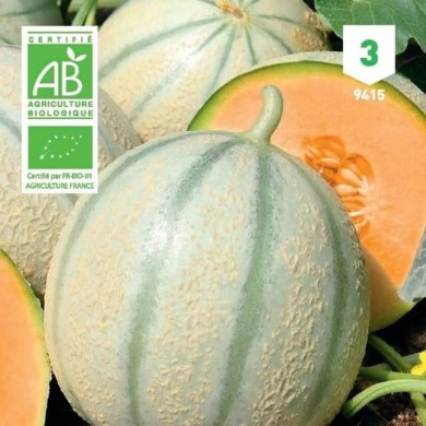 Melon Charentais Bio