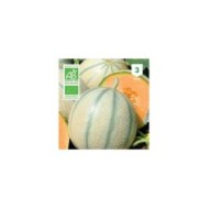 Melon Charentais Bio