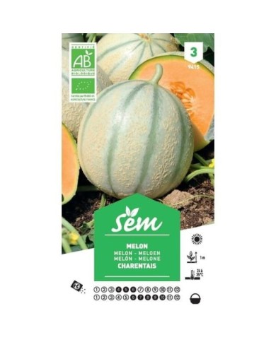 Melon Charentais Bio (sachet)
