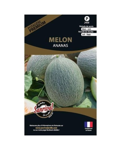 Melon ananas (sachet)