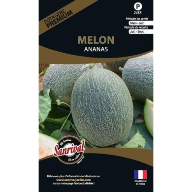 Melon ananas (sachet)