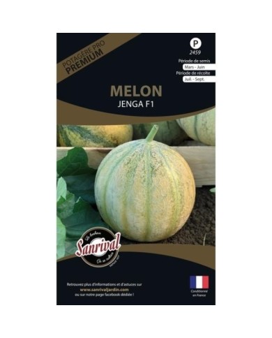 Melon Jenga F1 (sachet)