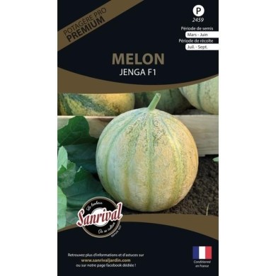 Melon Jenga F1 (sachet)