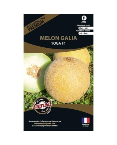 Melon galia Garanto F1 (sachet)