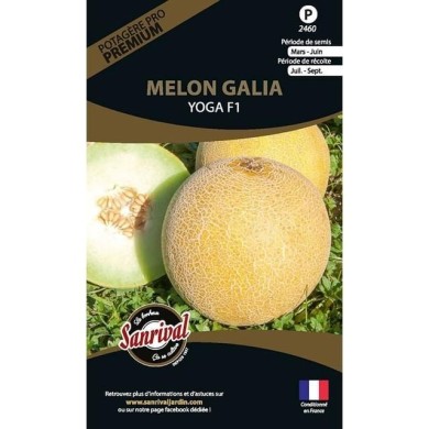 Melon galia Garanto F1 (sachet)