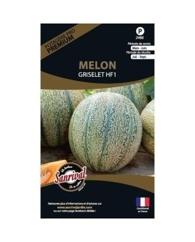 Melon Griselet HF1 (sachet)