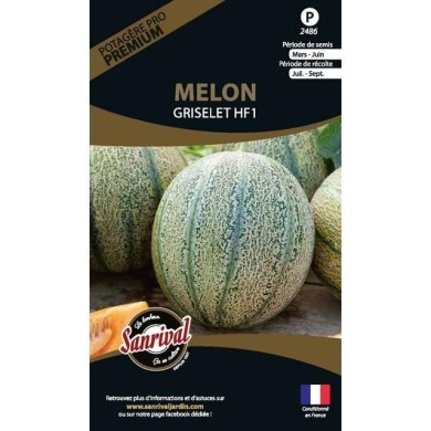 Melon Griselet HF1 (sachet)