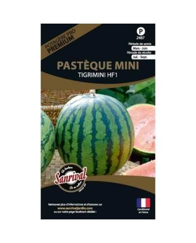 Pastèque mini Tigimini HF1 (sachet)