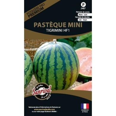 Pastèque mini Tigimini HF1 (sachet)