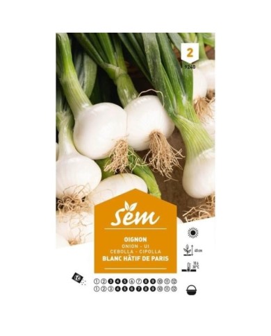 Oignon blanc hâtif de Paris (sachet)