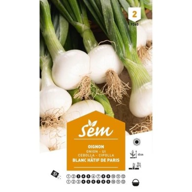 Oignon blanc hâtif de Paris (sachet)