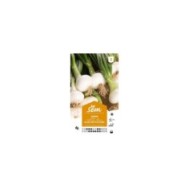 Oignon blanc hâtif de Paris (sachet)
