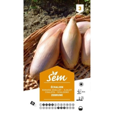 Echalion Zebrune (sachet)