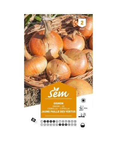 Oignon jaune paille des Vertus (sachet)