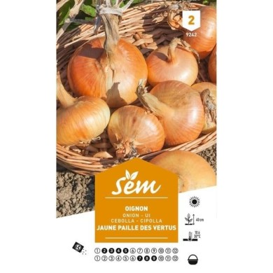 Oignon jaune paille des Vertus (sachet)