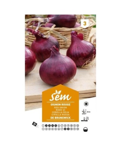Oignon rouge de Brunswick (sachet)