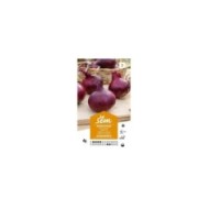 Oignon rouge de Brunswick (sachet)